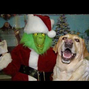 Meet your Posher, Drew